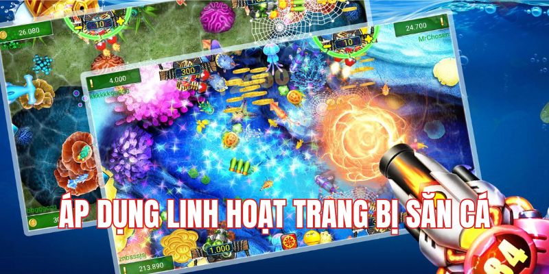 Áp dụng linh hoạt trang bị săn cá