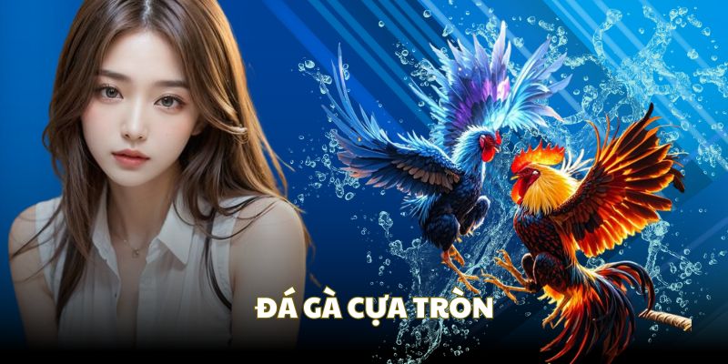 Cựa tròn được thiết kế để giảm thiểu thương tích nhưng vẫn kịch tính