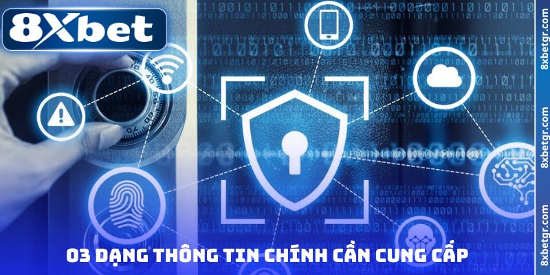 03 dạng thông tin chính cần cung cấp